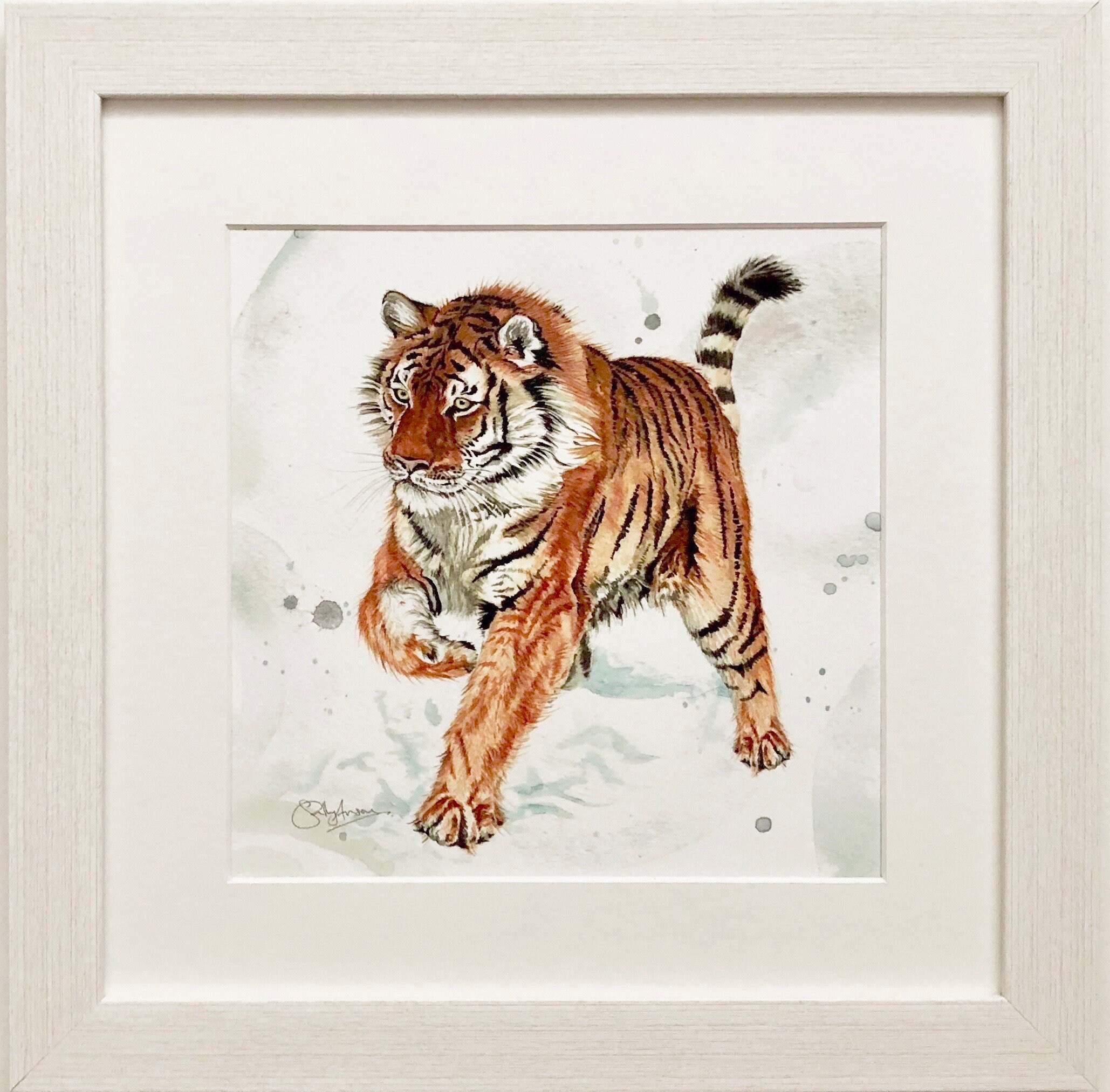 Endangered Collection - Siberian Tiger framed print