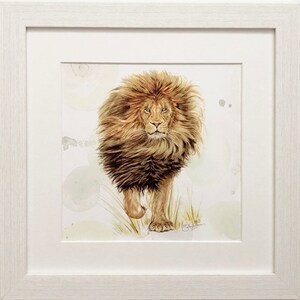Endangered Collection - African Lion framed print