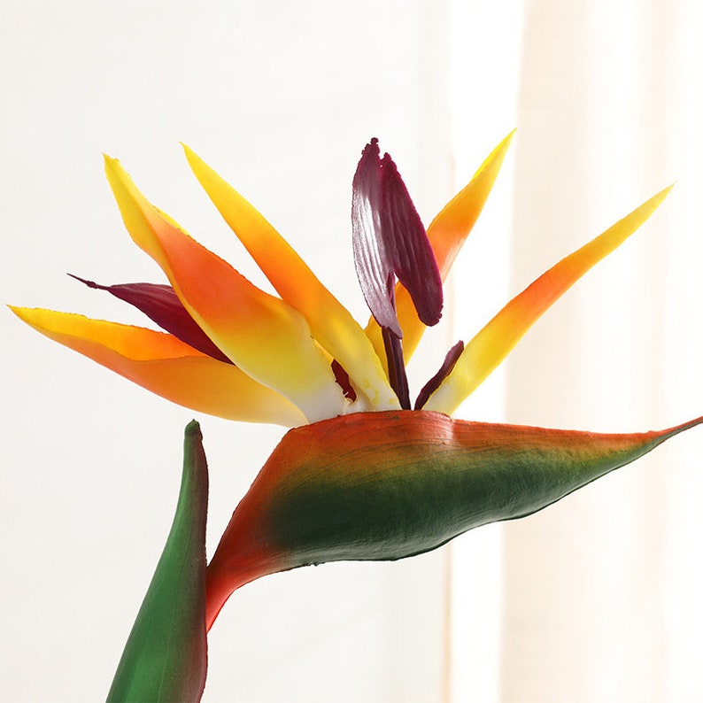 Bird of Paradise Flower Home Decoration Artificial Flower Real Etsy