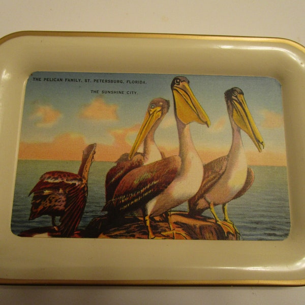 1940s Era Tray Decoupage Pelican Family St Petersburg Vintage Florida Cottage Home Decor Wedding Shower Gift Retro Kitsch Present Fowl