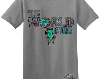 i promise t shirt lebron