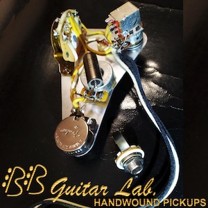 May include: Close-up of guitar electronics, including potentiometers, a switch, and wiring. The components are mounted on a metal plate. The image includes the text "BB Guitar Lab. HANDWOUND PICKUPS".