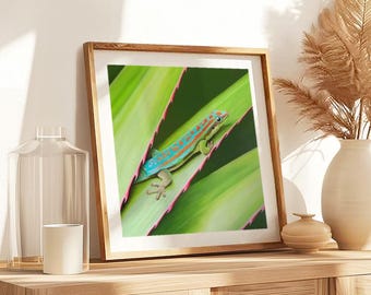 Tropical gecko wall art print | colorful lizard jungle poster | reptile wall decor