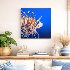 Tableau poisson lion peinture marine réaliste accroché au mur dans un salon style bord de mer avec décoration côtière et coussins bleus.