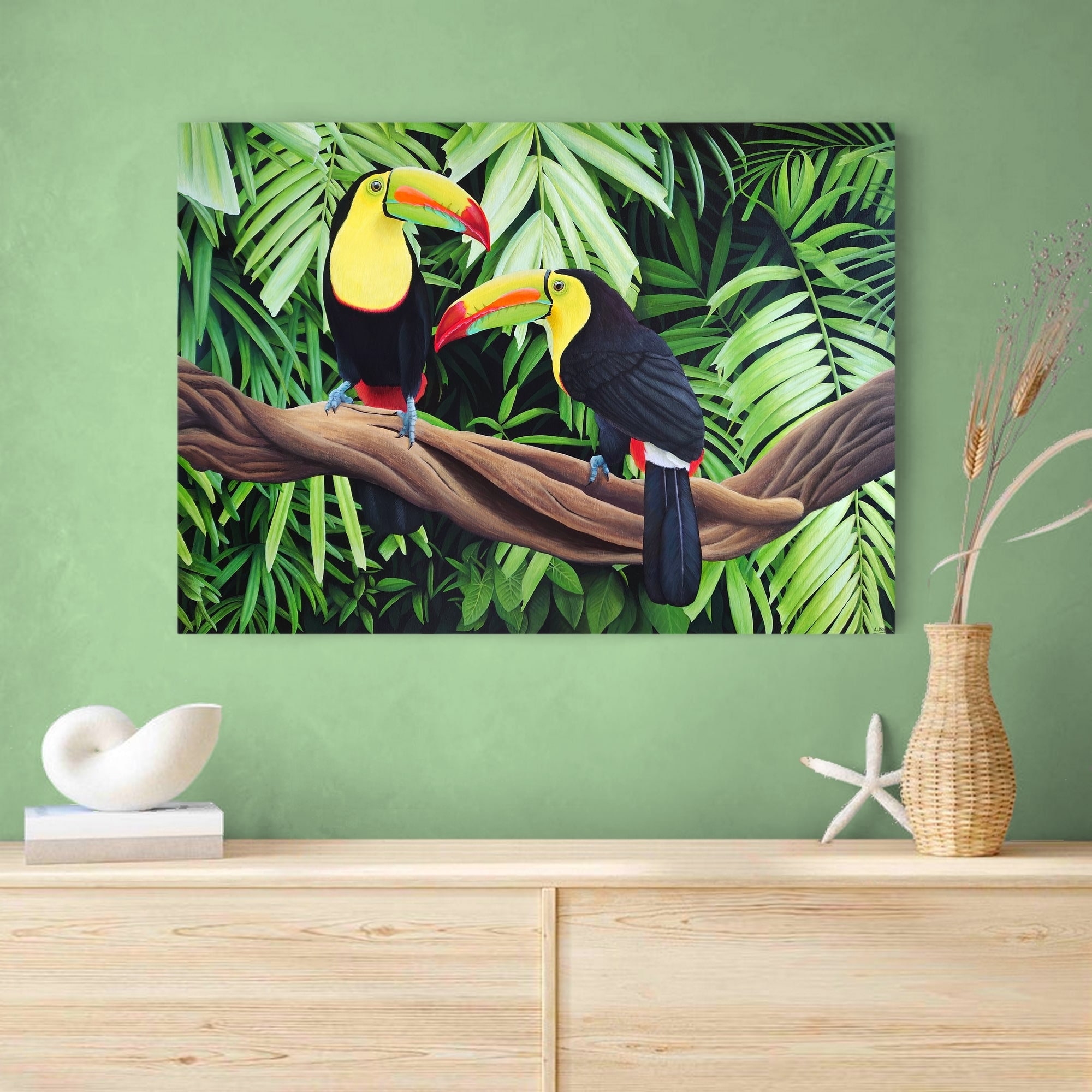 Toucan Food Chain Biology Diagrams