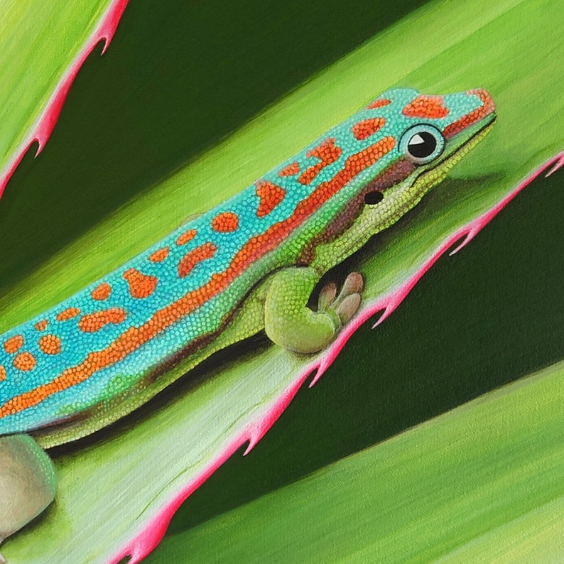 Painting of an Ornate Day Gecko From Mauritius, Nature Style Home Decor