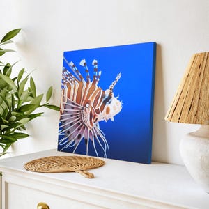 Tableau en peinture de poisson rascasse volante poisson lion dans l'océan posée sur un meuble pour une décoration bord de mer tropical exotique