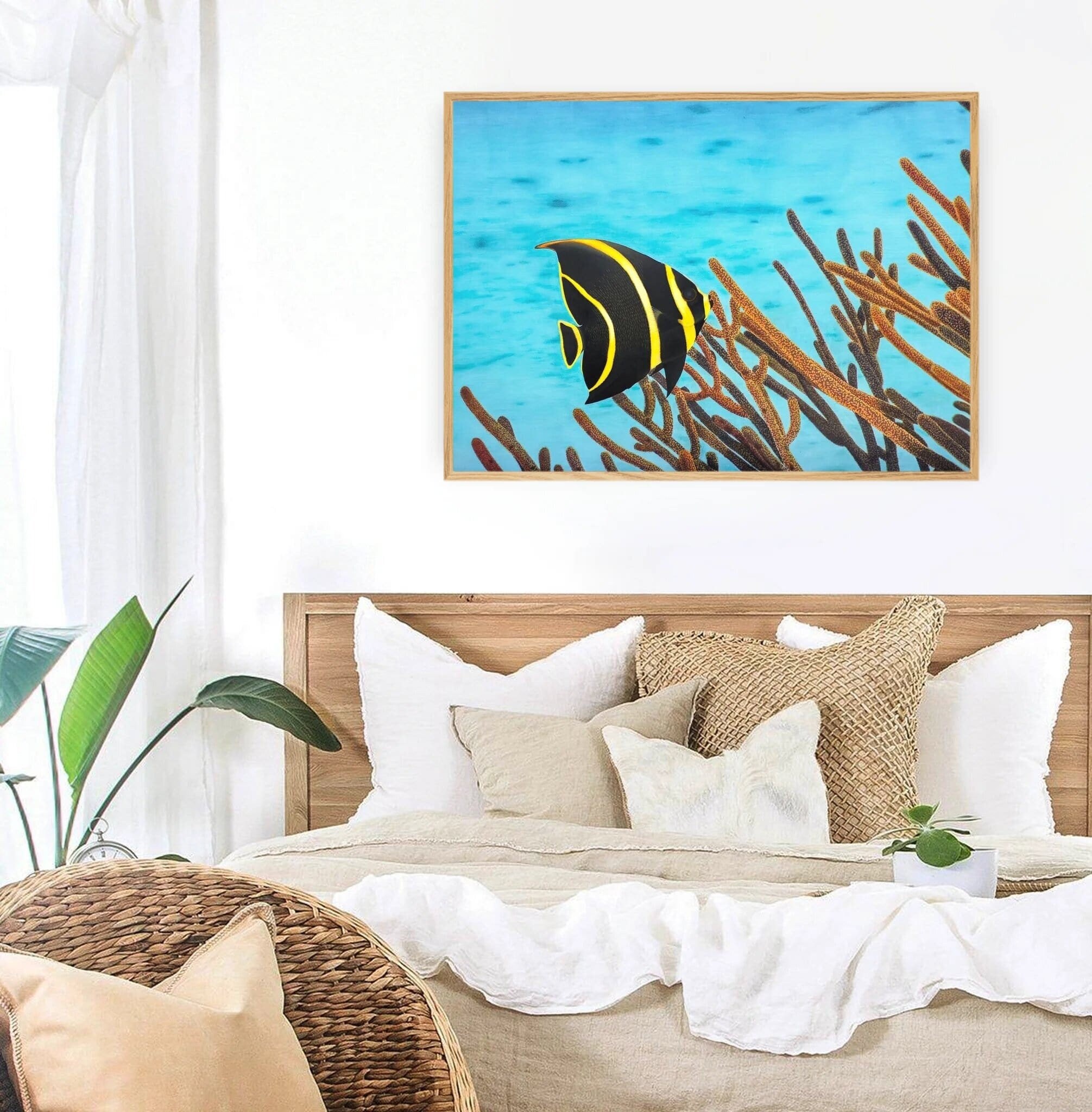 Impression d'art Murale Poisson Exotique Poisson-Ange - Décoration Tropical Exotique