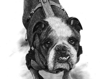 Custom Charcoal Pet | Custom Pet Portrait | Custom Dog Portrait | Pet Commission | Custom Wall Art | Pet Lover Gift | Dog Art | Cat Portrait