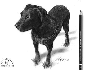 Custom Pet Portrait | Pet Loss Gift | Dog Portrait Pencil | Pet Illustration | Custom Pet Memorial | Drawing from Photo | Charcoal Dog Art