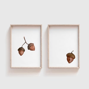 Acorn Watercolor Fall Print Set