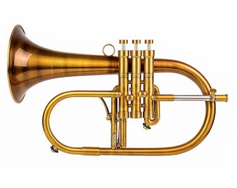 il_340x270.6990618752_qg17.jpg
