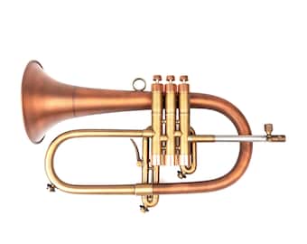 Taylor Phat Puppy キャロルブラ ポケット フリューゲル ホルン Carol