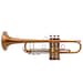 see more listings in the Customized Trumpets section