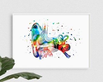 Audiology art anatomy art watercolor art print, Human ear poster, Audiologist gift