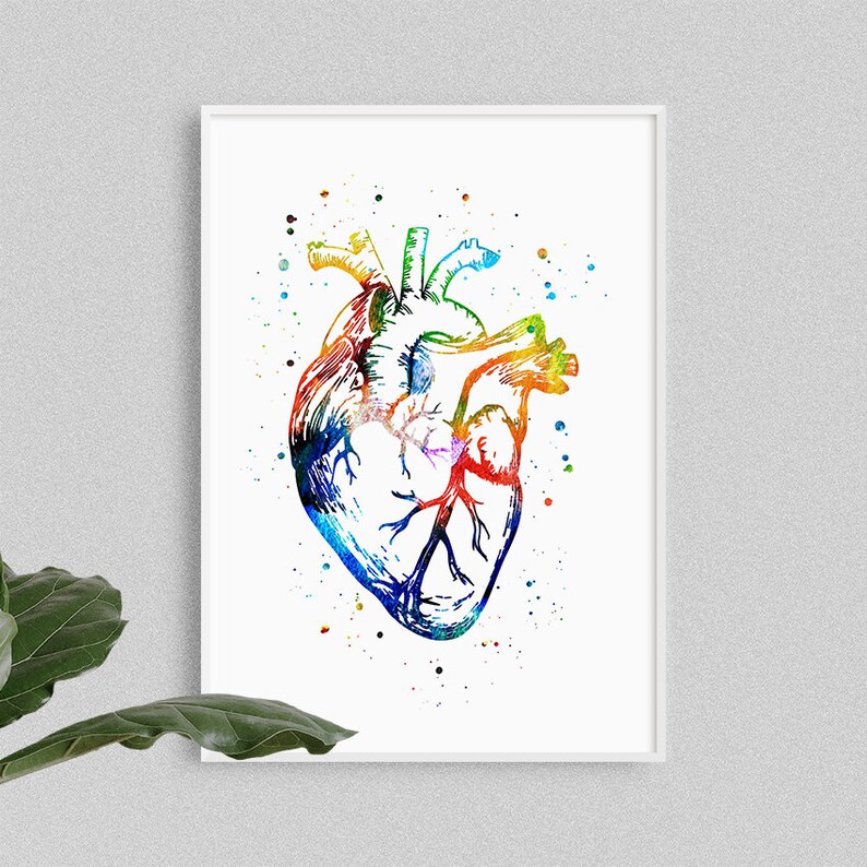 Heart Anatomy Art Print, Medical Poster, Anatomical Heart, Clinic Wall ...