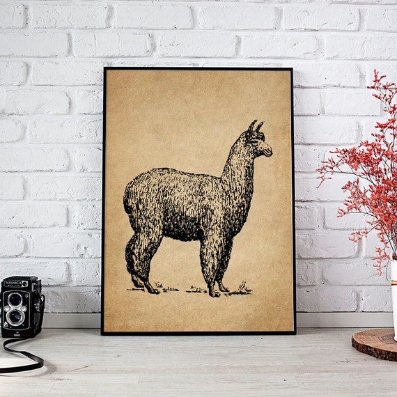 Lama Print Animal Poster Wall Art Rustic Home Office Kids Room Decor