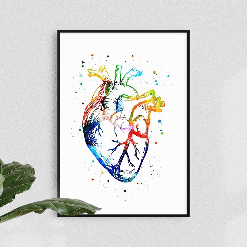 Heart Anatomy Art Print, Medical Poster, Anatomical Heart, Clinic Wall ...