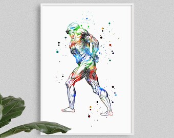 Muscular system anatomy art poster, Sports medicine gift, Physical therapist office decor