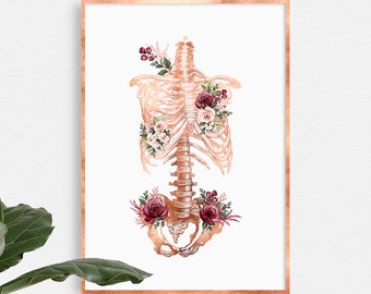 Skeleton Torso Chiropractic floral art print, human skeletal system poster, chiropractor gift