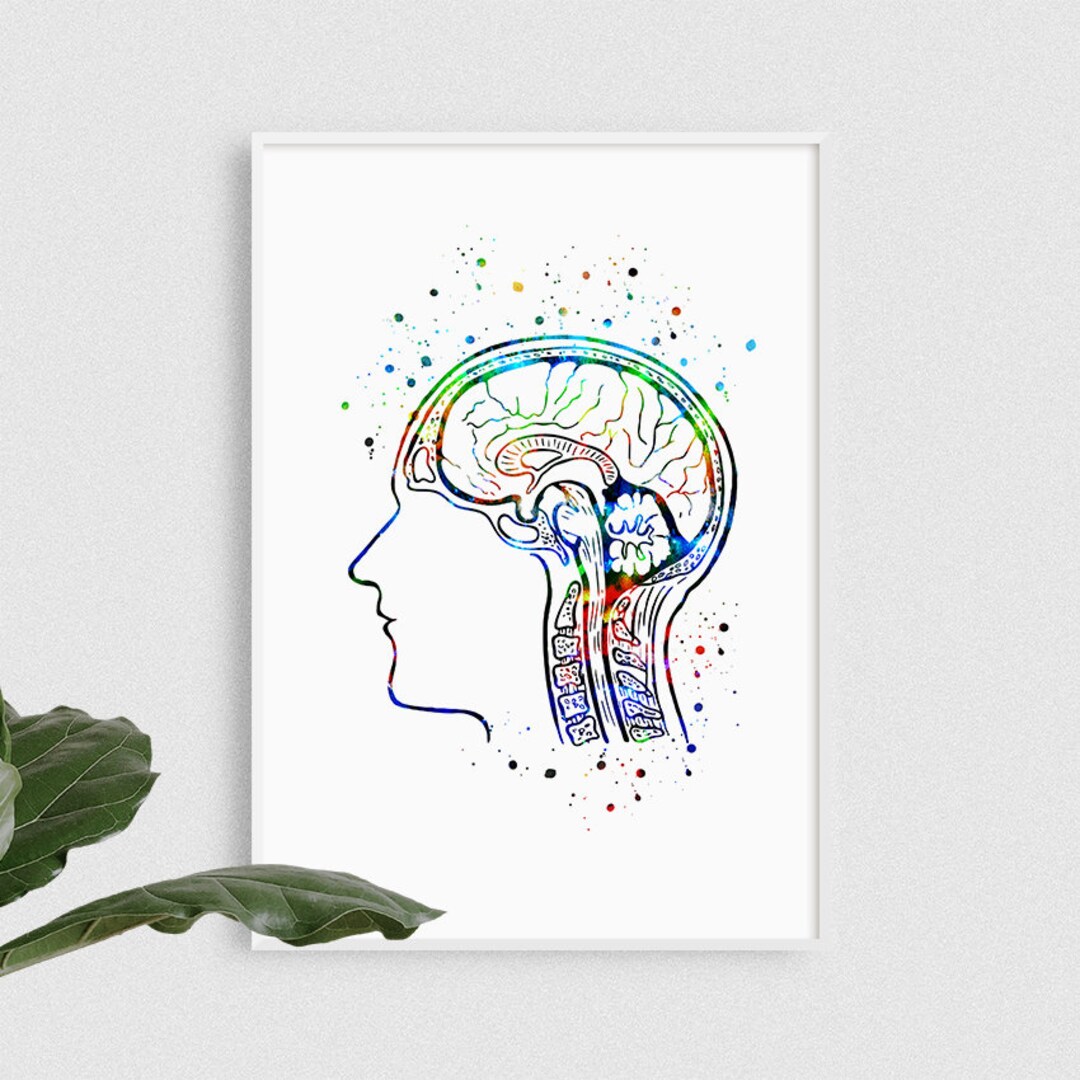 Human Head Anatomy Print, Watercolor Wall Art for Doctor Office Decor ...