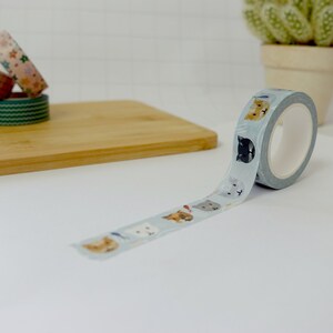 Kattengezichten - washi tape