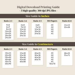 Cartaz de definição de programador, impressão de graduação de codificador, arte de parede de colega de trabalho de analista de programador, presente de escritório moderno engraçado imagem 5