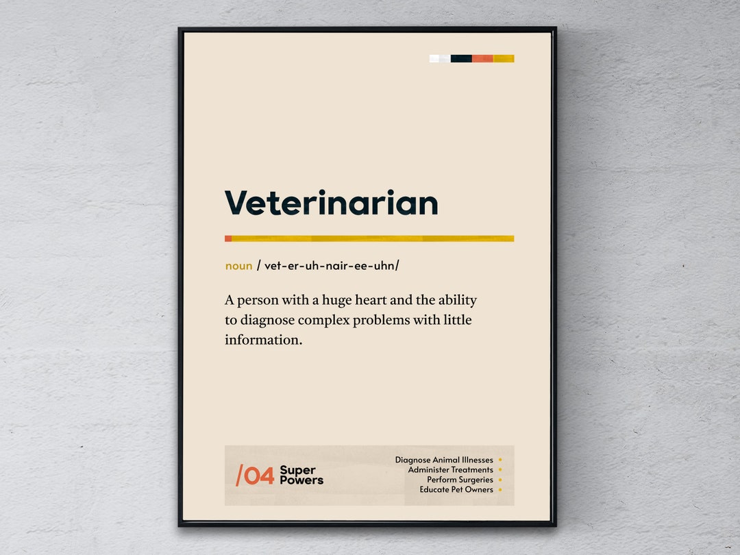 Veterinarian Definition Poster, Funny Modern Office Gift, Animal Doctor