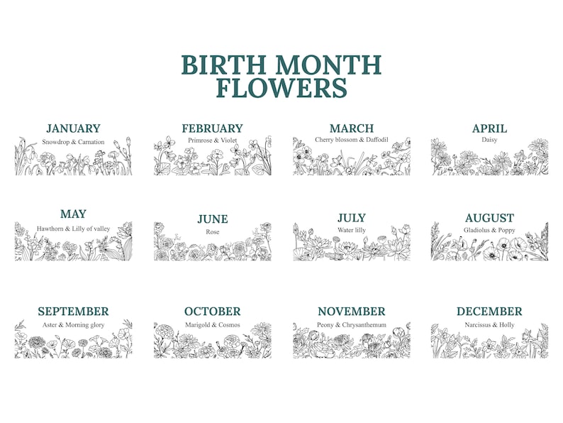 May include: A black and white illustration of flowers representing the birth month flowers for each month of the year. The months are listed in a grid with the flower names below each month. January: Snowdrop & Carnation, February: Primrose & Violet, March: Cherry blossom & Daffodil, April: Daisy, May: Hawthorn & Lily of valley, June: Rose, July: Water lily, August: Gladiolus & Poppy, September: Aster & Morning glory, October: Marigold & Cosmos, November: Peony & Chrysanthemum, December: Narcissus & Holly.