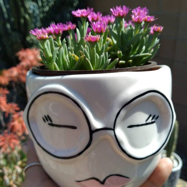 Funny 4" Face Ceramic Planter Pot with glasses