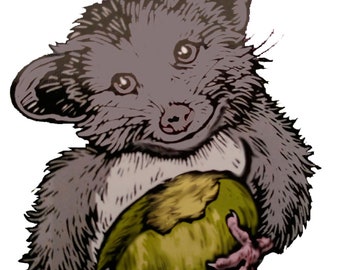 Semillas de árbol frutal de papaya fresca estratificada * Papaya, el banano de Indiana