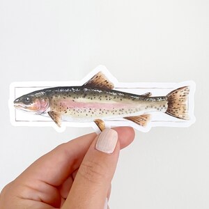 Trout Vinyl Sticker, Rainbow Trout, Watercolor, Sticker, Angler, Fisherman, Fishing, Watercolor Sticker, Brown Trout, Father&#39;s Day