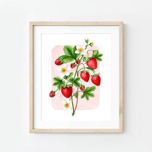 Strawberries Watercolor Painting, Wild Strawberries, Nature Art, Wildlife artwork, strawberries, strawberry artwork, cottage core strawberry