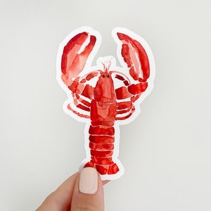 Lobster Vinyl Sticker, Lobster, East Coast, Watercolor Sticker, Maine, Waterproof Lobster Sticker, New England, Fisherman, Lobsterman