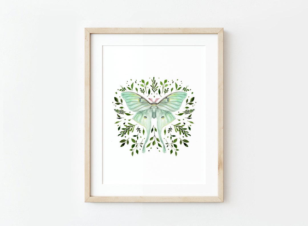Luna Moth Watercolor Painting: Insect Wall Art - Etsy