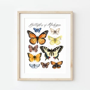 Butterfly Watercolor Painting, Butterflies of Michigan Art, Butterflies Painting, Insects, Michigan Print, Watercolor Painting, Nature Art