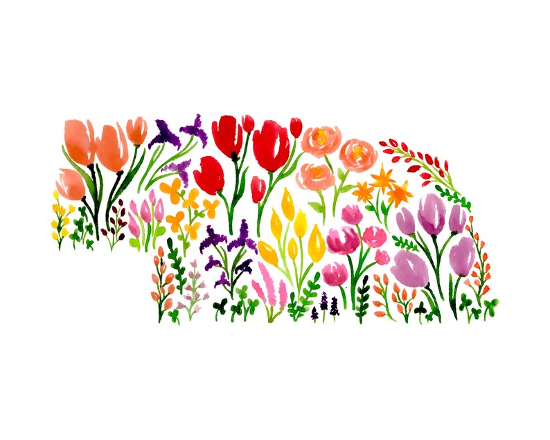 Floral Nebraska Print Flowers Wildflowers Nebraska State Etsy