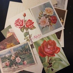 Set von 6 Postkarten mit Rosenmotiv,unbenutzt in gutem Vintage Zustand!