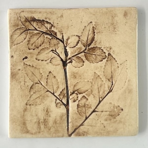 May include: A square ceramic tile with a raised design of a brown leafy branch on a cream background.