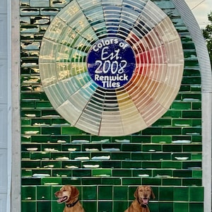 May include: Two brown dogs sit in front of a green tiled wall with a circular mosaic of colored tiles. The mosaic has a blue circle in the center with the text "Colors of Est. 2008 Renwick Tiles".