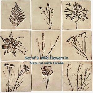 Set of 9 Mixed Wild Flowers ceramic tiles one square foot