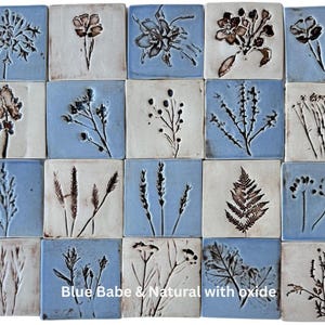 May include: A collection of square ceramic tiles with embossed botanical designs. The tiles alternate between a light blue and off-white background, with various floral and plant motifs in brown. The text "Blue Babe & Natural with oxide" is visible.