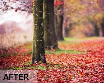 Autumn Mobile presets, Fall presets,  Autumn Lightroom Presets, Blogger Presets, LR Presets, Portrait Autumn Presets, Glow Presets,