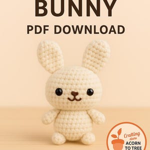 Amigurumi Crochet Bunny Pattern