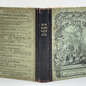 Antique Botany Book 1858 Asa Gray Botany Book Antique Botany School Book Flower Plant Gardening Book Antique Science Book