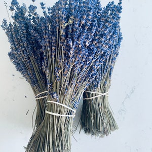 May include: Two bundles of dried lavender flowers tied with rubber bands. The lavender is a light purple color and the stems are a light brown color.