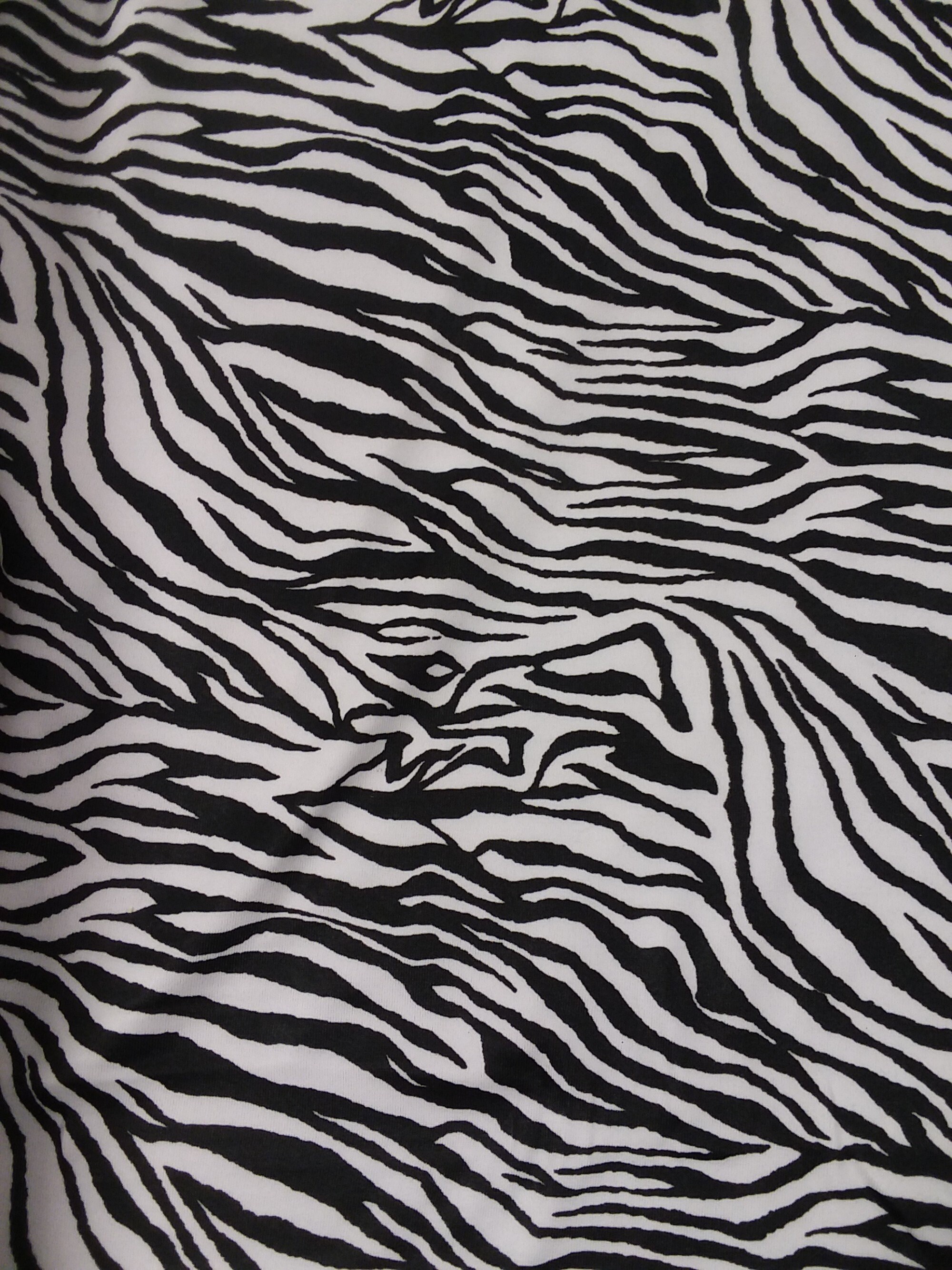 Zebra Print Poly Lycra Knit Fabric Etsy