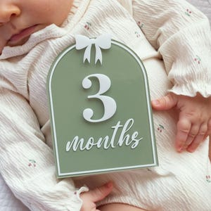 Boho Baby Meilensteinkarten: Acryl Monatliche Fotomarker