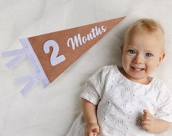 Baby Monthly Milestone Cards and Felt Pennant Flag Set - Milestone Marker - Baby Milestone Sign