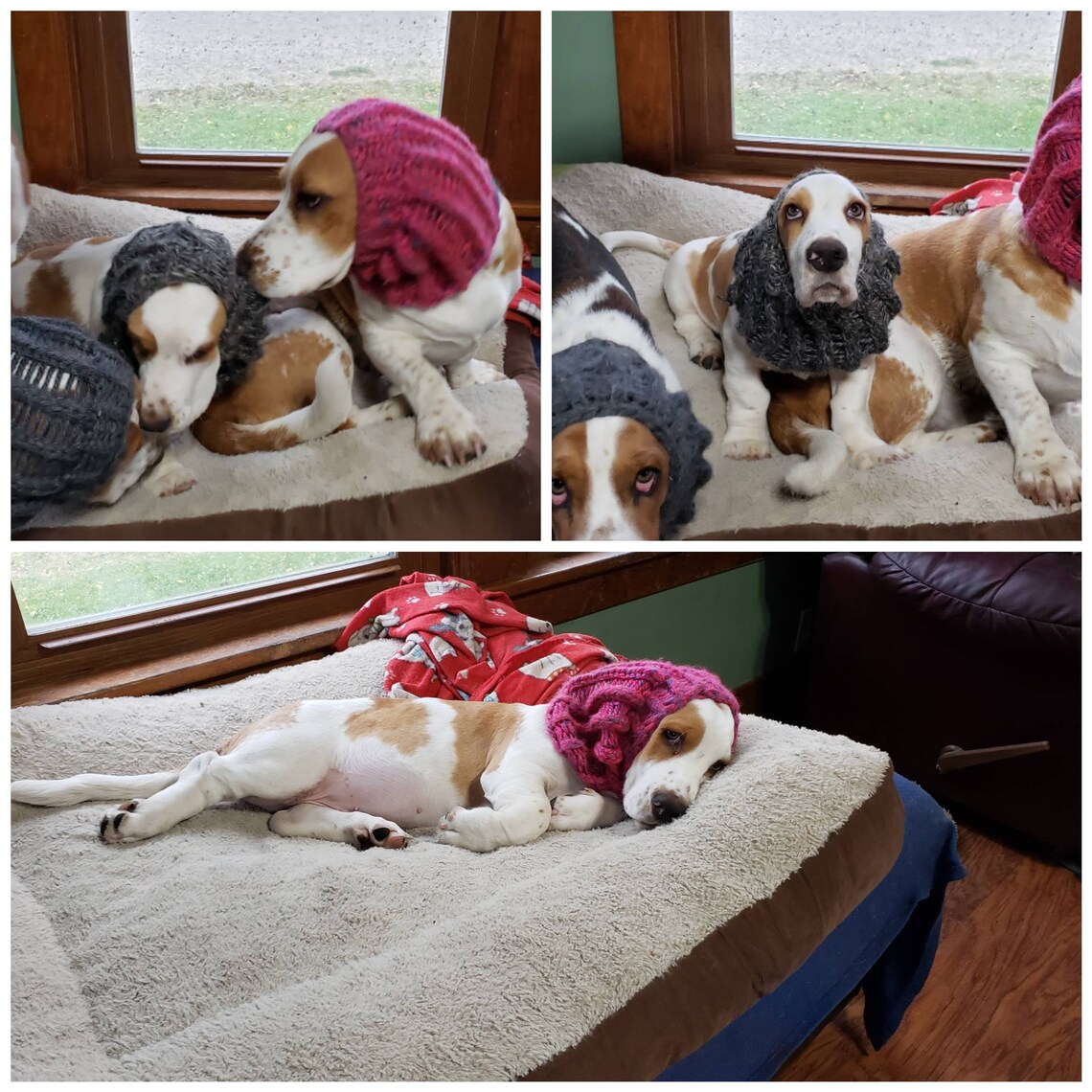 Basset Hound Snoods Etsy